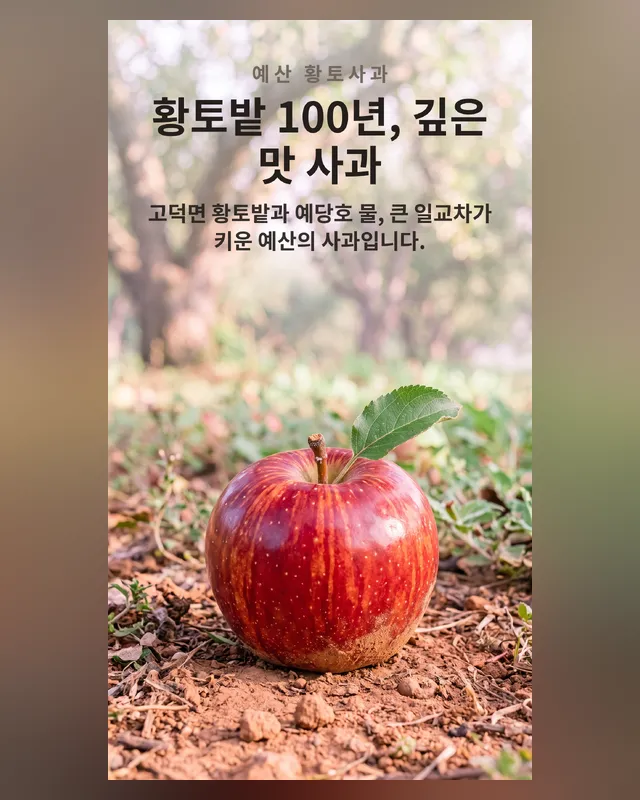 예산 황토사과 — 100년 사과밭의 맛 — 상세페이지 5장