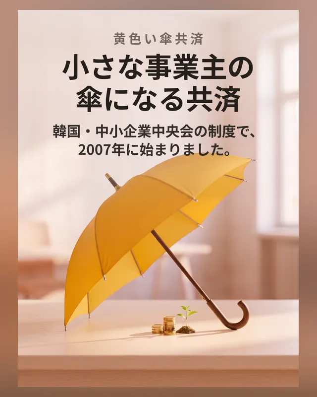 黄色い傘共済 5つのメリット — 카드뉴스 5장